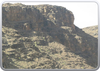 117 Uitstap langs groene weg van Foum Gzuid naar Taznakht56