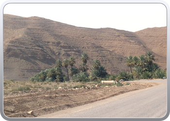 117 Uitstap langs groene weg van Foum Gzuid naar Taznakht86
