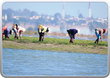 167 Even rondvaren op de laguna van Moulay Bousselham26