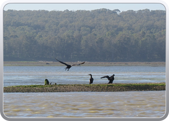 167 Even rondvaren op de laguna van Moulay Bousselham56