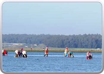 167 Even rondvaren op de laguna van Moulay Bousselham57