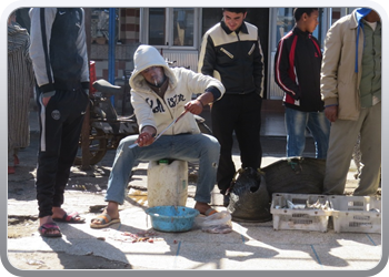 169 Visjes kopen op de markt (1)