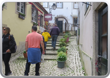 184 Wandeling door Sintra  (3)