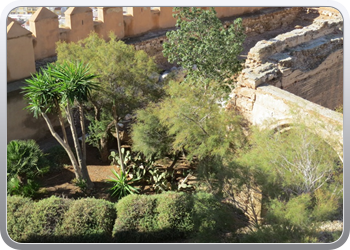 038 Almeria alcazaba (52)