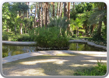 024 plantentuin elche02