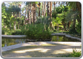 024 plantentuin elche03