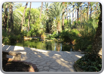 024 plantentuin elche18