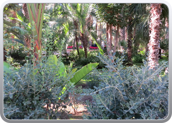 024 plantentuin elche34