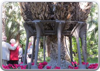 024 plantentuin elche42