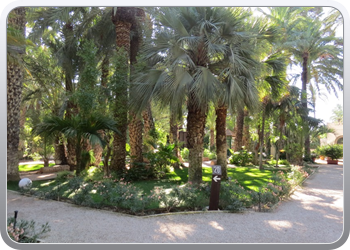 024 plantentuin elche44