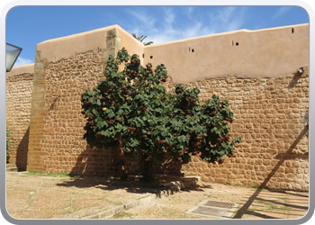 165 De Andalusische tuin in de kasbah (12)