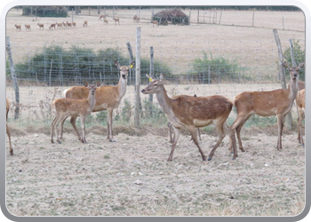 002 camperplaats in Epuissay (2)