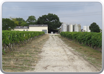 006 Cognac de Bonnet sur Gironde (15)