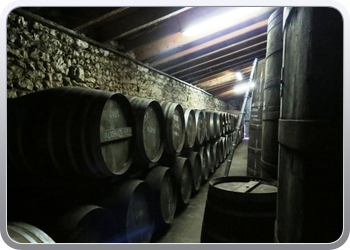 006 Cognac de Bonnet sur Gironde (18)