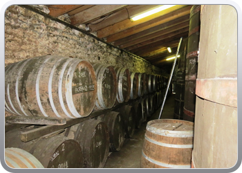 006 Cognac de Bonnet sur Gironde (19)