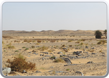 Een rit rond de woestijnduinen (106)