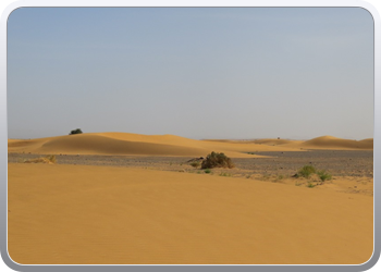Een rit rond de woestijnduinen (109)