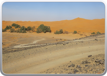 Een rit rond de woestijnduinen (11)