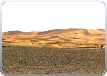 Een rit rond de woestijnduinen (114)