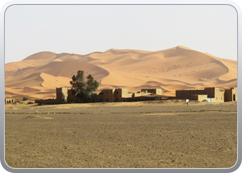Een rit rond de woestijnduinen (115)