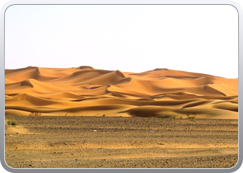 Een rit rond de woestijnduinen (116)