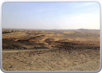 Een rit rond de woestijnduinen (12)