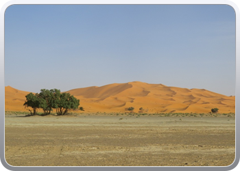 Een rit rond de woestijnduinen (122)