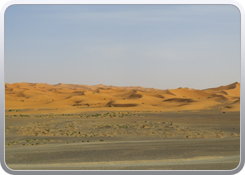 Een rit rond de woestijnduinen (123)