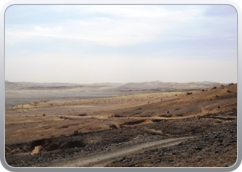 Een rit rond de woestijnduinen (15)
