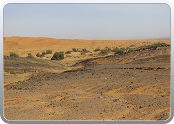 Een rit rond de woestijnduinen (16)