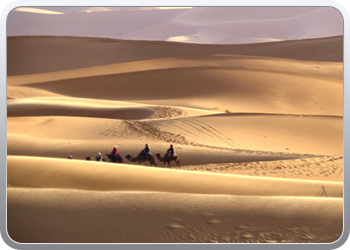 Een rit rond de woestijnduinen (2)