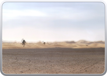 Een rit rond de woestijnduinen (3)
