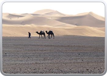 Een rit rond de woestijnduinen (4)