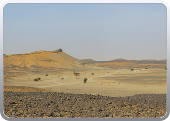 Een rit rond de woestijnduinen (43)