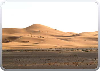 Een rit rond de woestijnduinen (5)