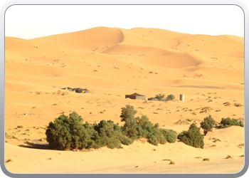 Een rit rond de woestijnduinen (6)