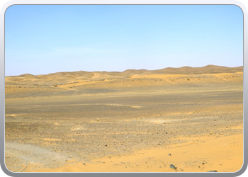 Een rit rond de woestijnduinen (96)