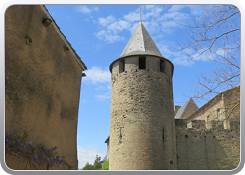 111 Carcassonne (16)