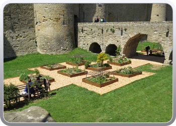 111 Carcassonne (18)