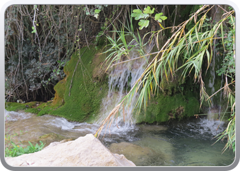 001 Fuentes de Algar (5)