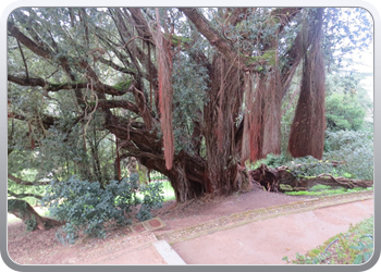 015 Parque de Monserrate (53)