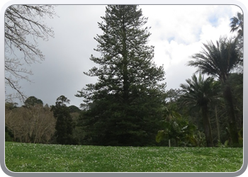 015 Parque de Monserrate (64)