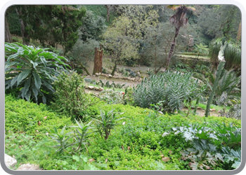 015 Parque de Monserrate (69)