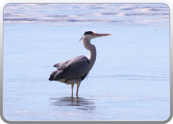 002 Natinaal park Ebre (13)