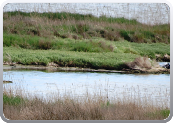 002 Natinaal park Ebre (48)