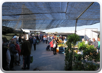 002 Markt Guadamar del Segura (5)