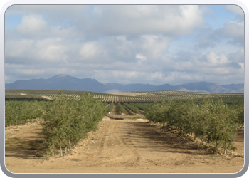 009 op weg naar Granada (7)