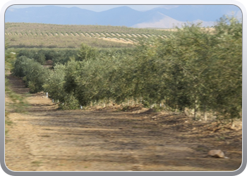 009 op weg naar Granada (8)