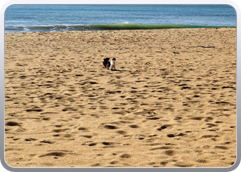 007 Spelen op het strand van Vilamoura (10)