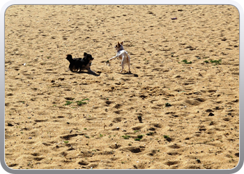 007 Spelen op het strand van Vilamoura (4)